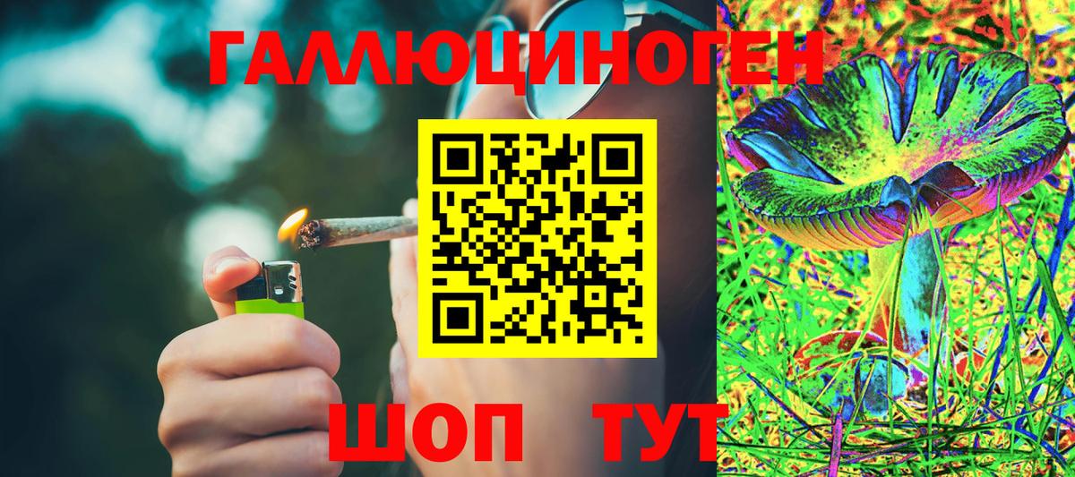 Галлюциногенные грибы прущие грибы  Вход с VPN  Новокубанск 