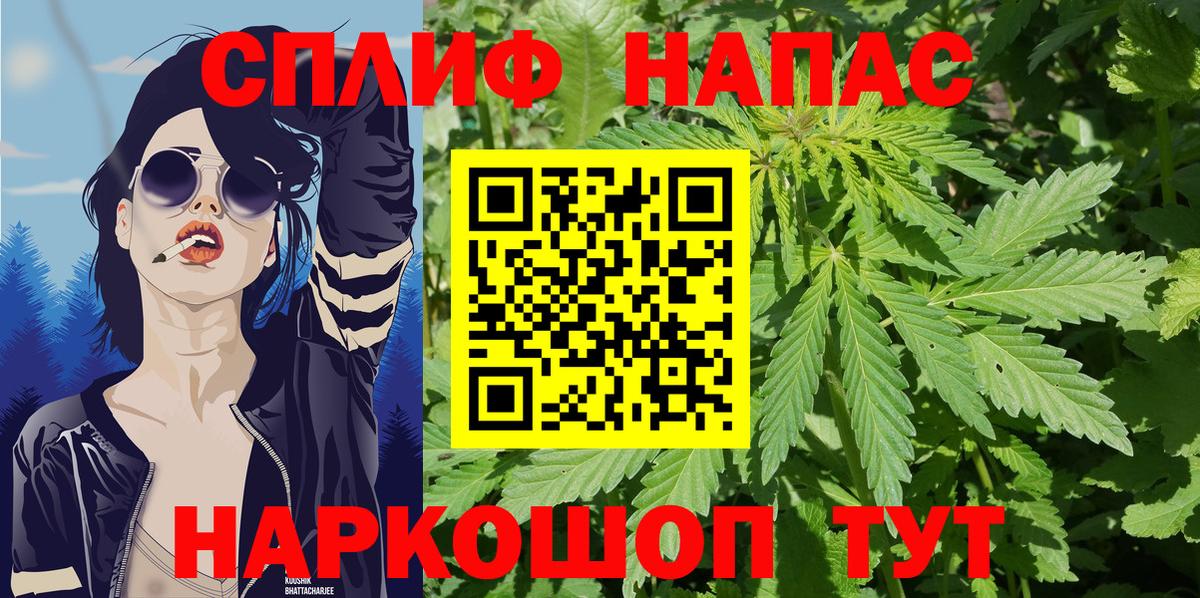 Каннабис Amnesia Новокубанск